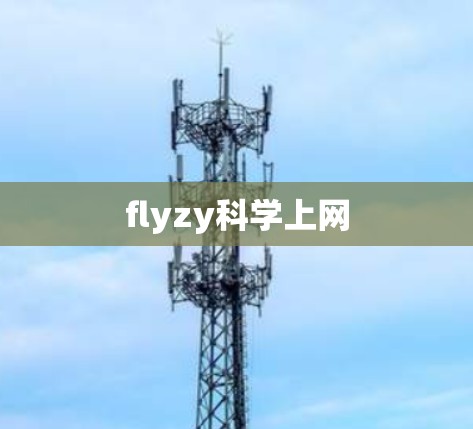 flyzy科学上网