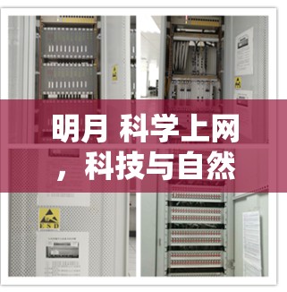 明月 科学上网,科技与自然的和谐之约