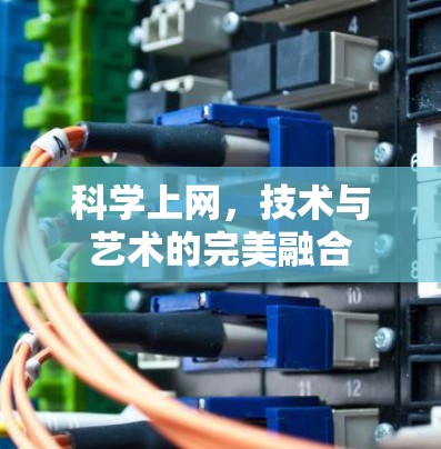 科学上网，技术与艺术的完美融合