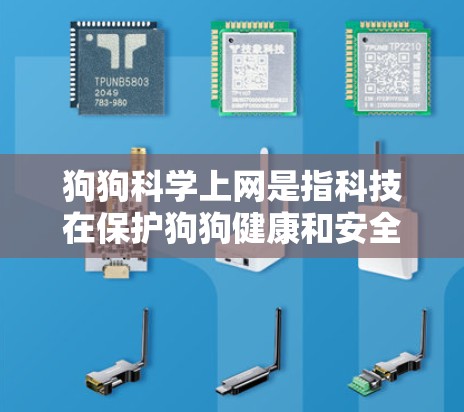 狗狗科学上网是指科技在保护狗狗健康和安全方面的应用,包括以下内容