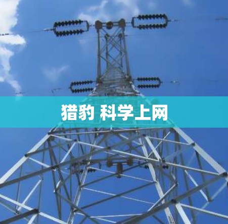 猎豹 科学上网
