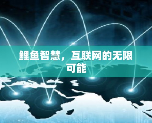 鲤鱼智慧,互联网的无限可能