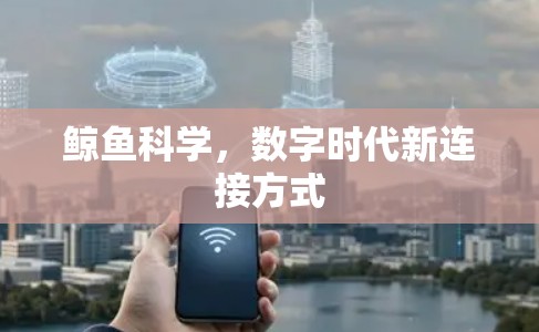 鲸鱼科学，数字时代新连接方式