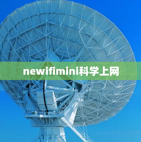 newifimini科学上网