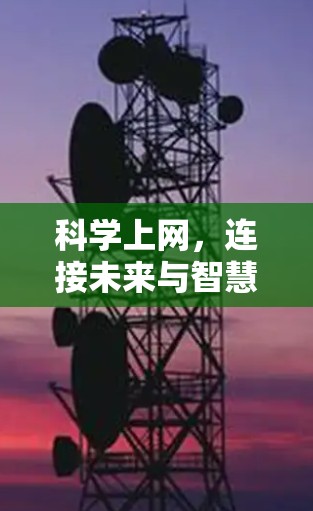 科学上网，连接未来与智慧的双刃剑