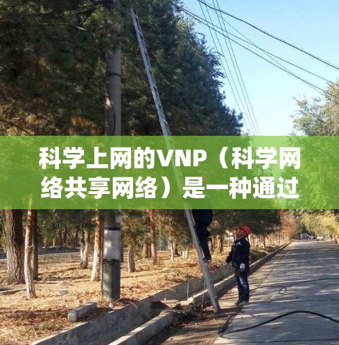 科学上网的VNP(科学网络共享网络)是一种通过网络共享技术来管理和管理共享网络资源,允许不同用户或设备访问相同网络服务的系统。它通过以下方式实现