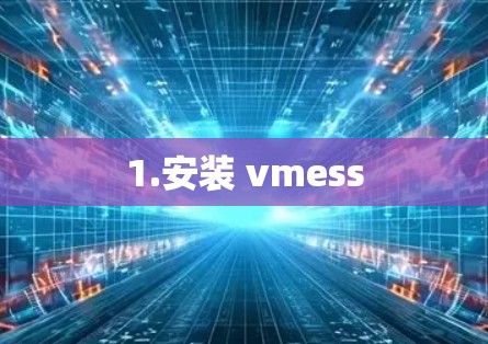 1.安装 vmess