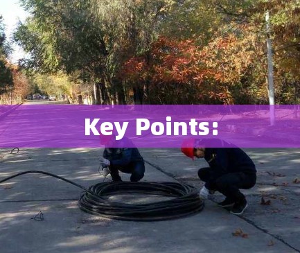 Key Points: