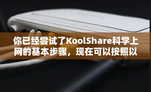 你已经尝试了KoolShare科学上网的基本步骤,现在可以按照以下步骤进行操作