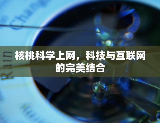 核桃科学上网,科技与互联网的完美结合