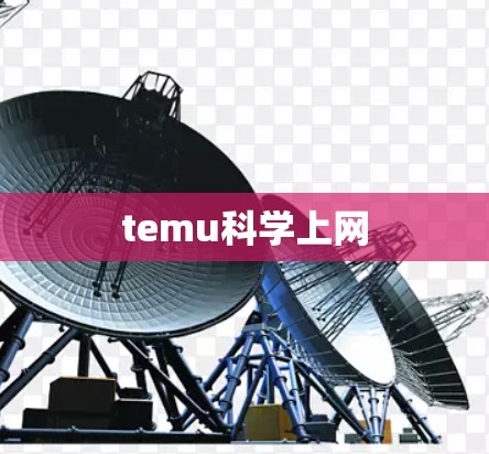 temu科学上网