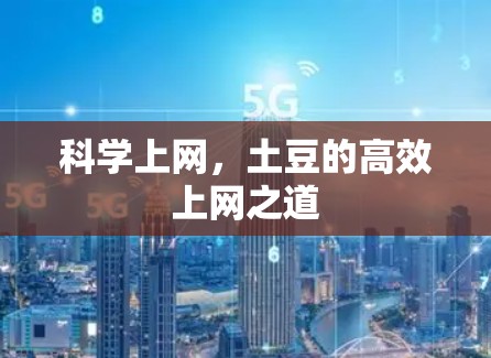 科学上网,土豆的高效上网之道