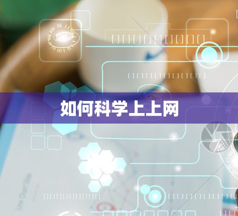 如何科学上上网