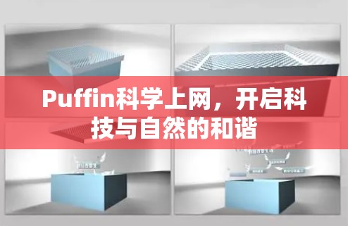 Puffin科学上网,开启科技与自然的和谐