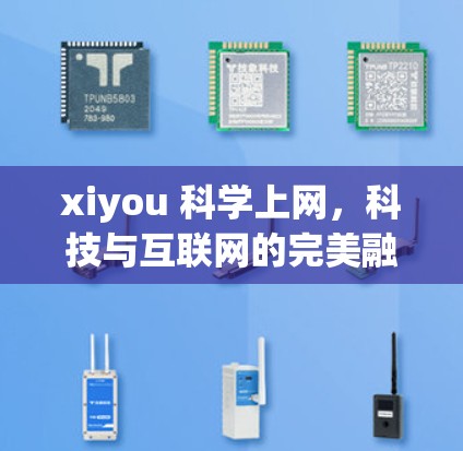 xiyou 科学上网，科技与互联网的完美融合 科技创新与用户体验的结合