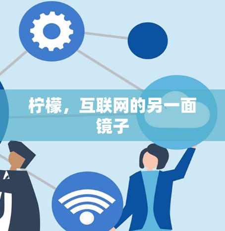 柠檬,互联网的另一面镜子