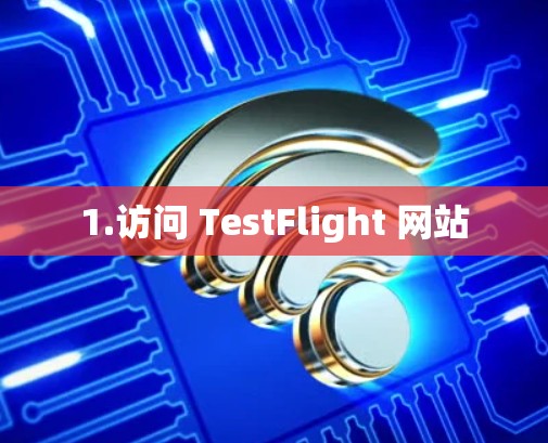 1.访问 TestFlight 网站