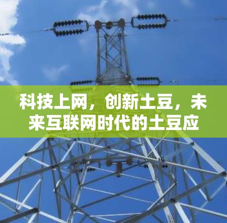 科技上网,创新土豆,未来互联网时代的土豆应用