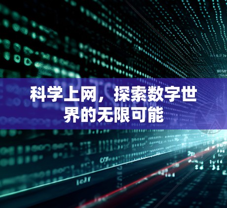 科学上网，探索数字世界的无限可能