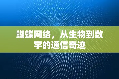 蝴蝶网络,从生物到数字的通信奇迹
