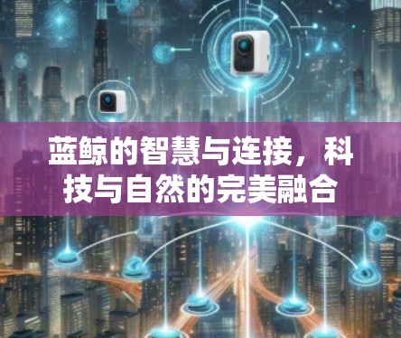 蓝鲸的智慧与连接,科技与自然的完美融合