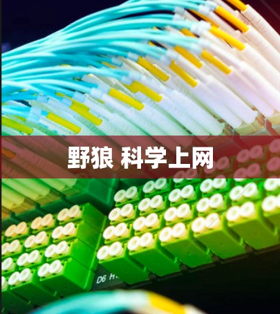 野狼 科学上网