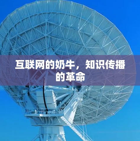 互联网的奶牛,知识传播的革命