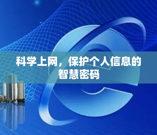 科学上网,保护个人信息的智慧密码
