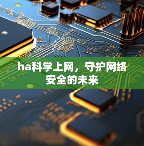 ha科学上网，守护网络安全的未来