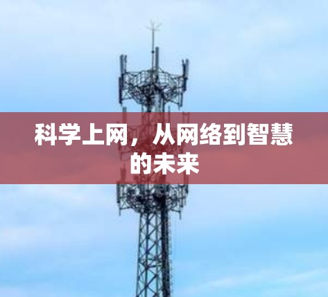 科学上网,从网络到智慧的未来