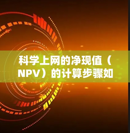 科学上网的净现值(NPV)的计算步骤如下