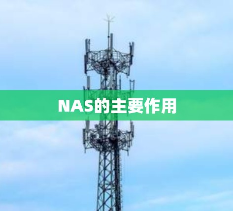 NAS的主要作用