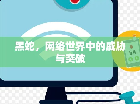 黑蛇,网络世界中的威胁与突破