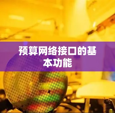 预算网络接口的基本功能