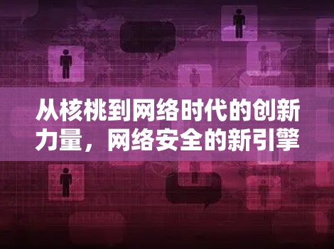 从核桃到网络时代的创新力量，网络安全的新引擎