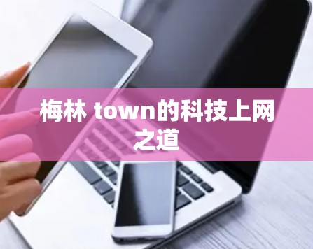梅林 town的科技上网之道