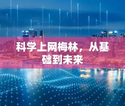 科学上网梅林,从基础到未来 科学上网梅林,从基础到未来