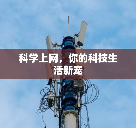 科学上网,你的科技生活新宠
