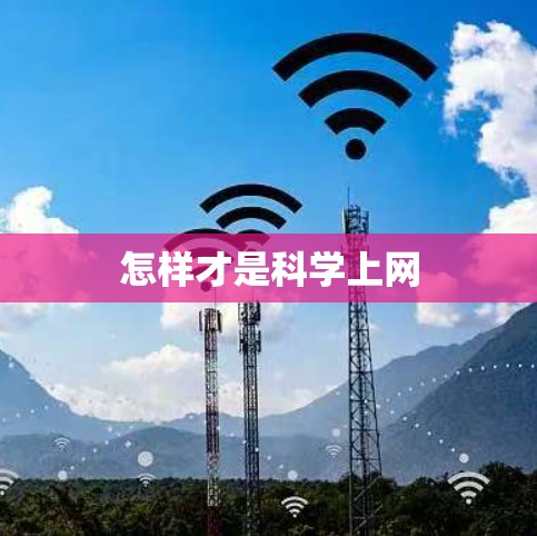 怎样才是科学上网
