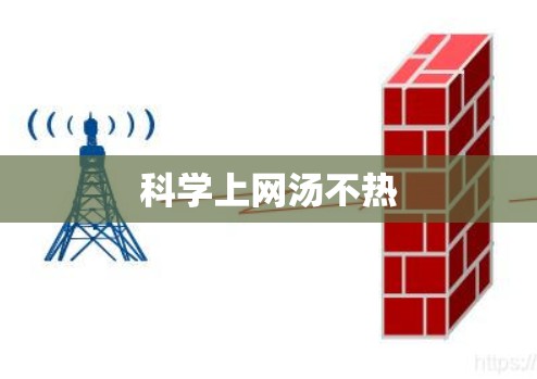 科学上网汤不热
