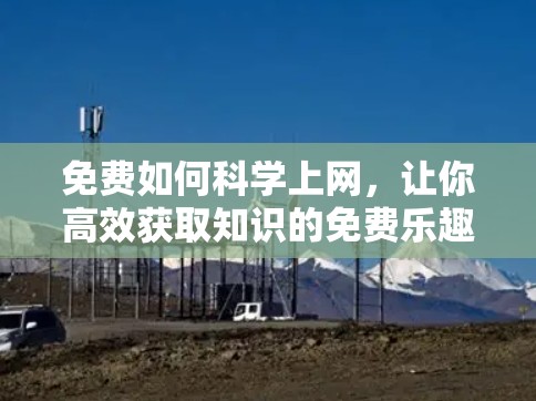 免费如何科学上网，让你高效获取知识的免费乐趣