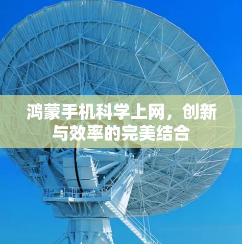 鸿蒙手机科学上网，创新与效率的完美结合