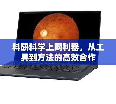 科研科学上网利器,从工具到方法的高效合作