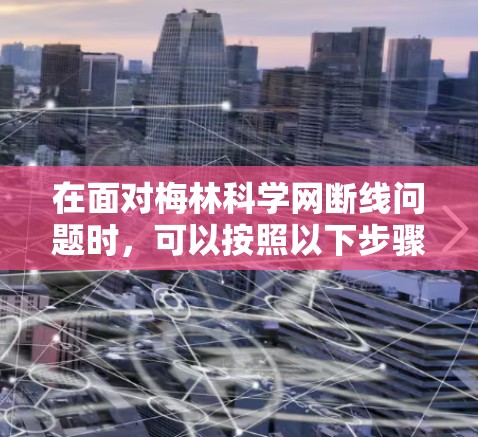 在面对梅林科学网断线问题时,可以按照以下步骤进行处理