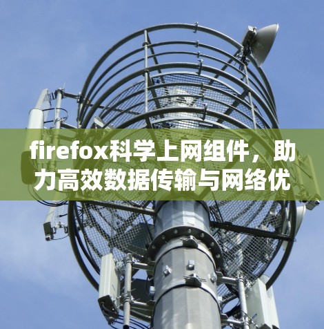 firefox科学上网组件,助力高效数据传输与网络优化