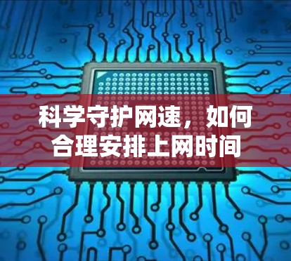科学守护网速,如何合理安排上网时间
