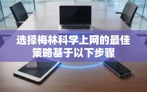 选择梅林科学上网的最佳策略基于以下步骤