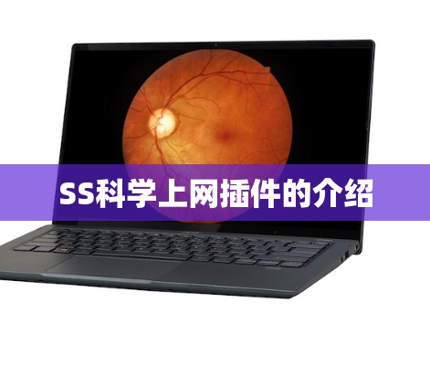 SS科学上网插件的介绍