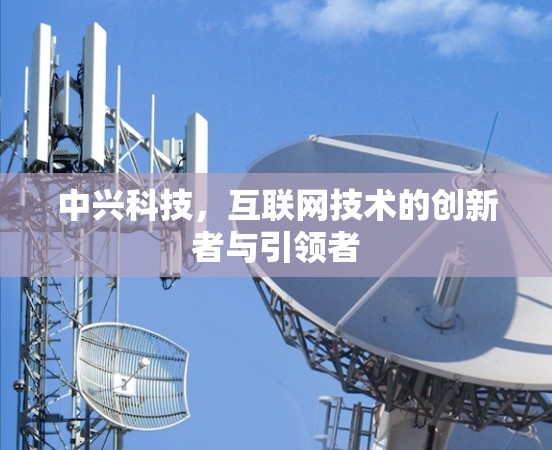 中兴科技,互联网技术的创新者与引领者