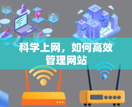 科学上网,如何高效管理网站